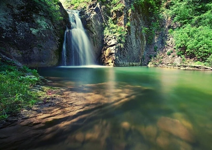 A serene waterfall surrounded by lush greenery, with crystal-clear water pooling below.