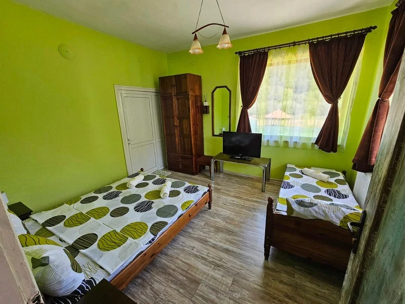 The green room in the house